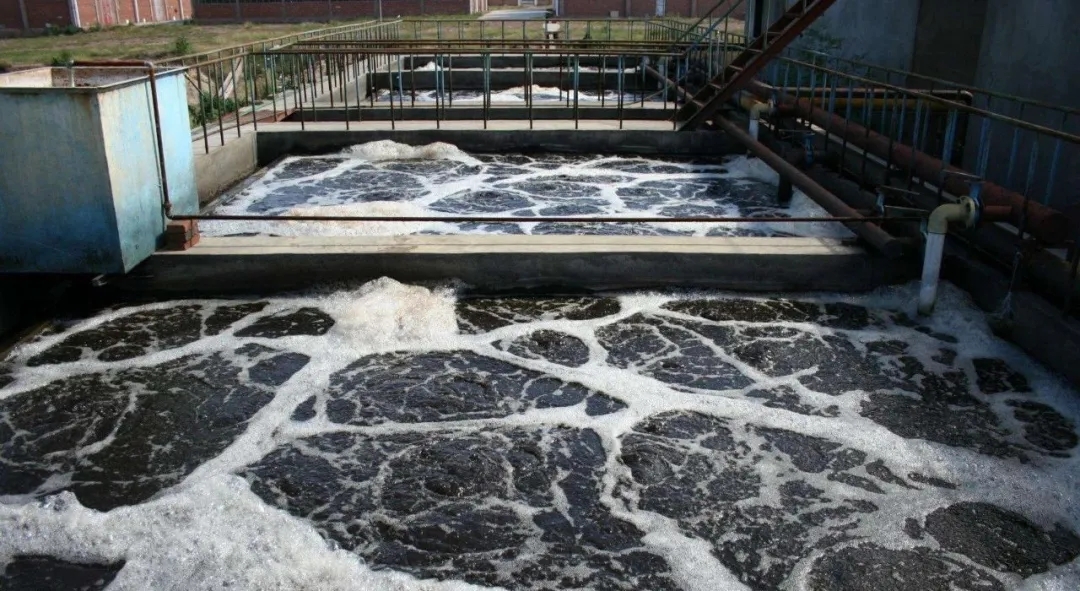 住建部：如何應對新冠病毒從馬桶到水環(huán)境的潛在傳輸途徑？