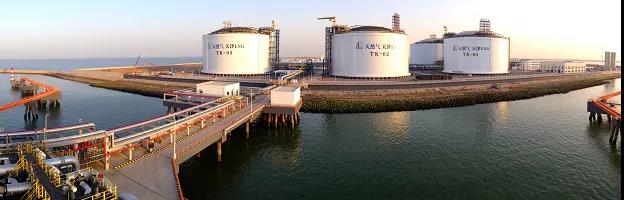 多個百億級超大項目按下快進鍵，天津南港工業區唱響春天進行曲-