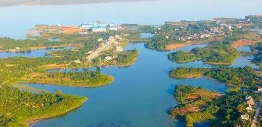 不斷加速的淘汰賽中，泵管閥“后浪們”為活下去而戰！