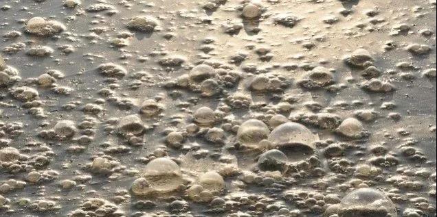 污水廠內的生物氣溶膠，污水從業人員必讀-