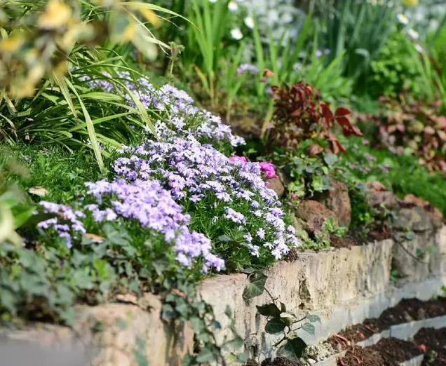 南北花園給排水問題差異大，你知道嗎？-
