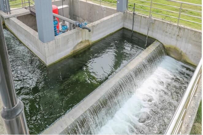 污水凈化后可養(yǎng)魚?這家污水處理廠真牛!- 污水凈化后可養(yǎng)魚?這家污水處理廠真牛!-